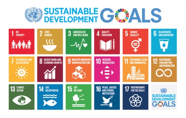 ▲ UN SDGs . ⓒUN SDGs협회